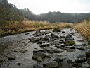 2007-05-01 035.JPG